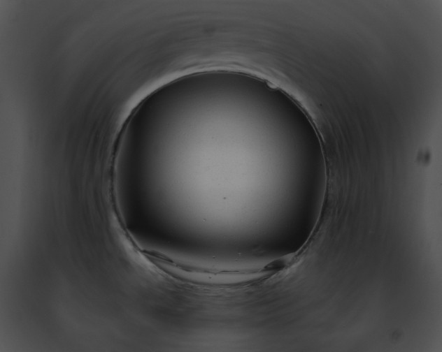 X0000091481534200708301903