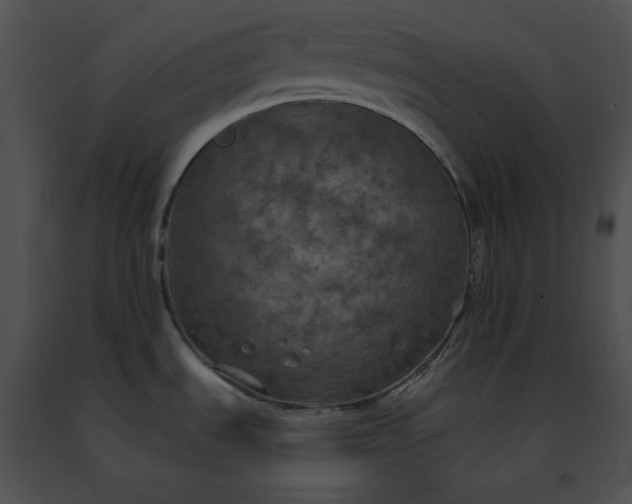 X0000091481535200708301903