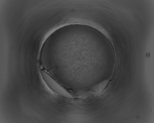 X0000091481536200708301904