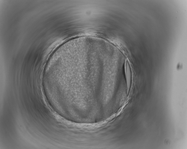 X0000091480001200709061849