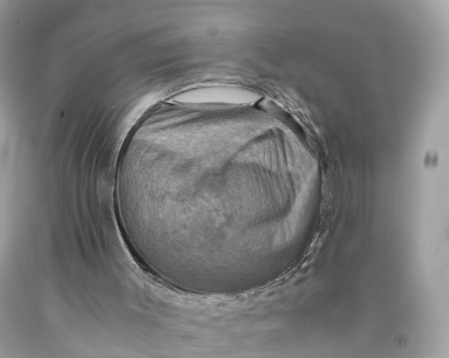 X0000091480003200709061849