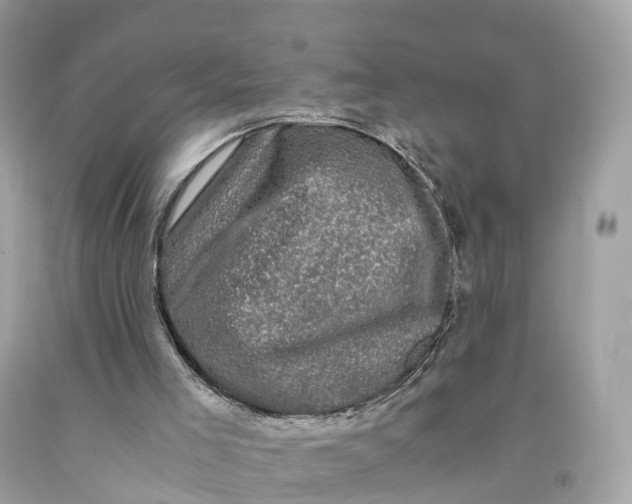 X0000091480005200709061849