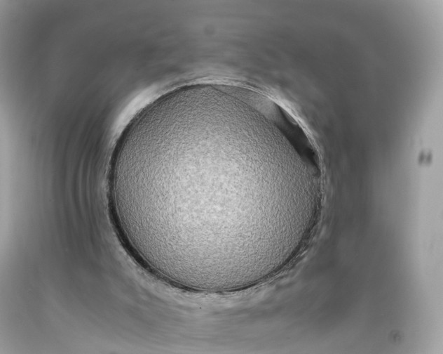 X0000091480007200709061849