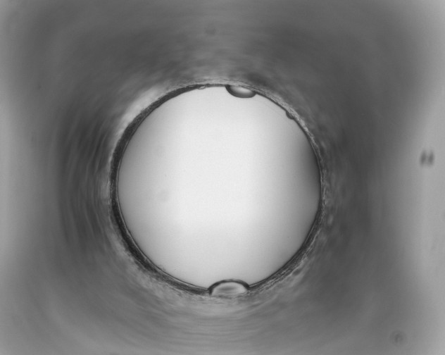 X0000091480008200709061849