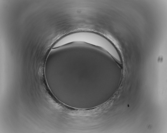 X0000091480009200709061849