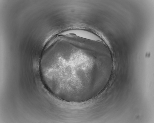 X0000091480010200709061849