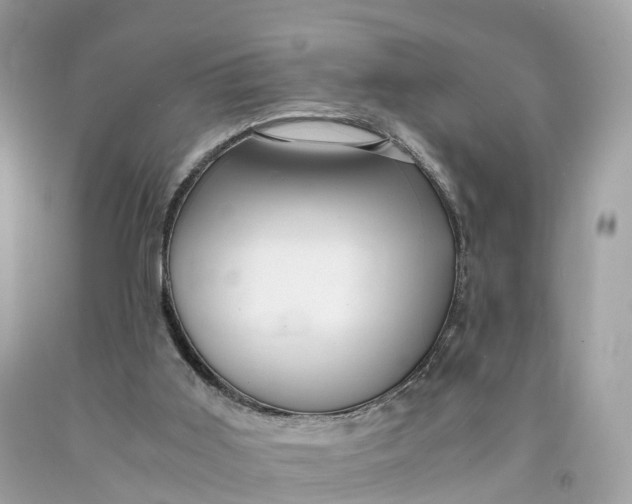 X0000091480011200709061849