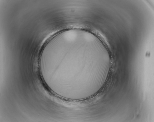 X0000091480012200709061849