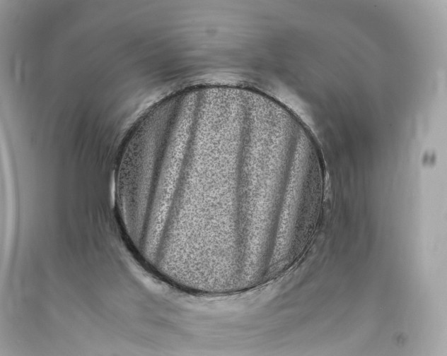 X0000091480013200709061849