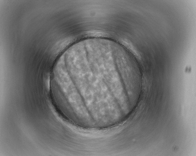 X0000091480014200709061849