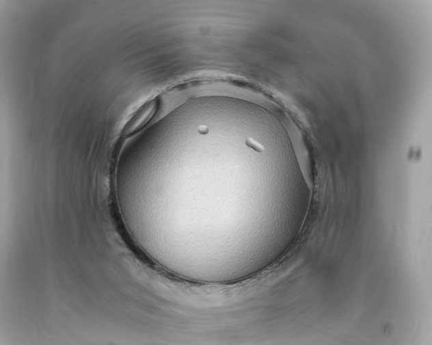 X0000091480015200709061849