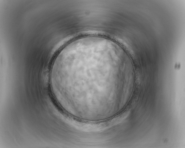 X0000091480016200709061849