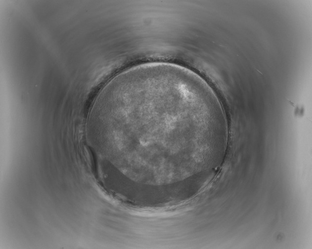 X0000091480017200709061849