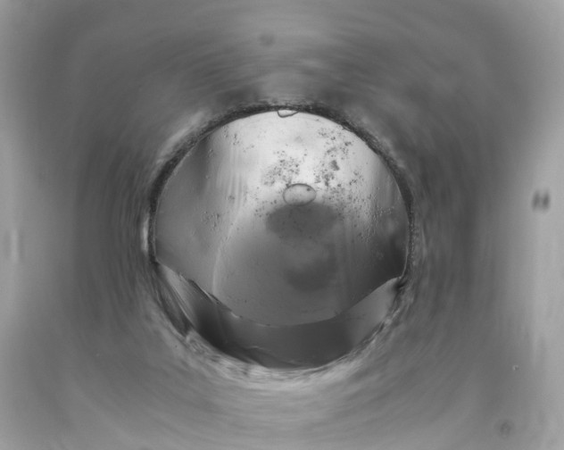 X0000091480019200709061849