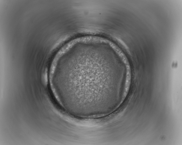 X0000091480020200709061849