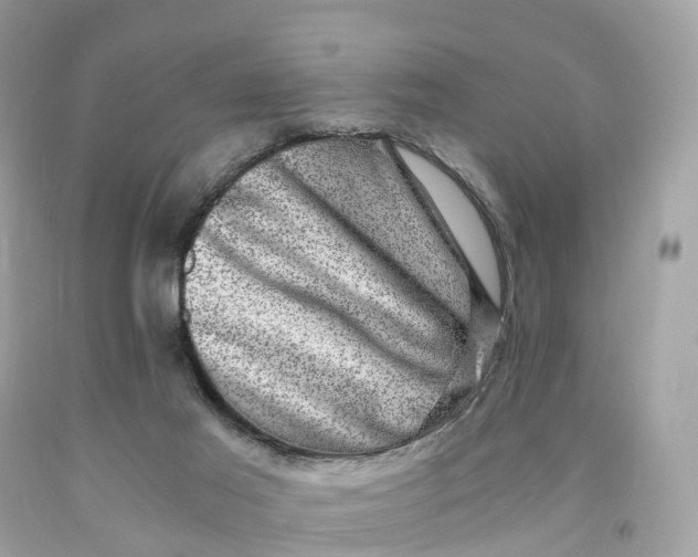 X0000091480021200709061849