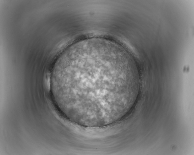 X0000091480022200709061849