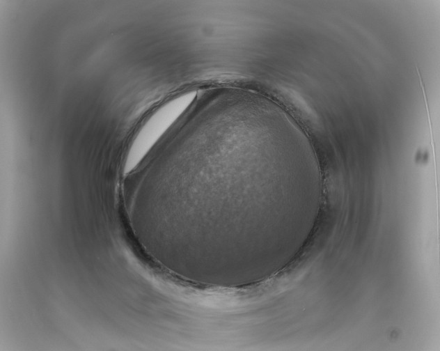 X0000091480024200709061849