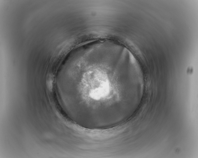 X0000091480026200709061849