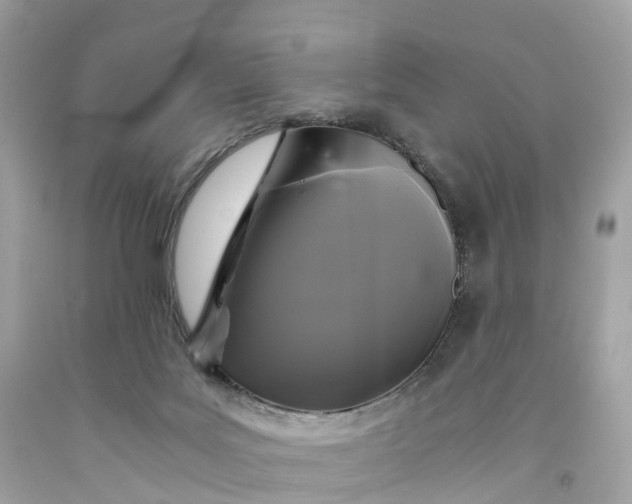 X0000091480027200709061849