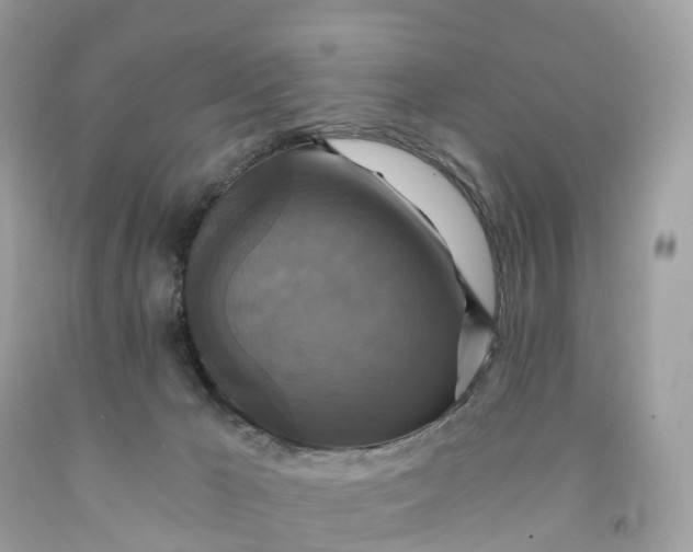 X0000091480029200709061849