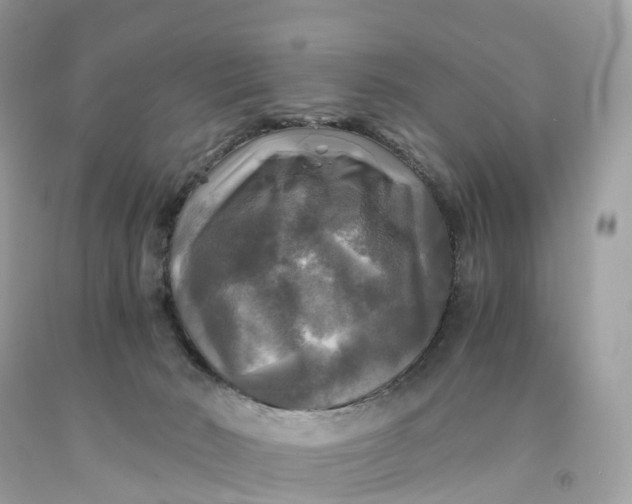 X0000091480030200709061849