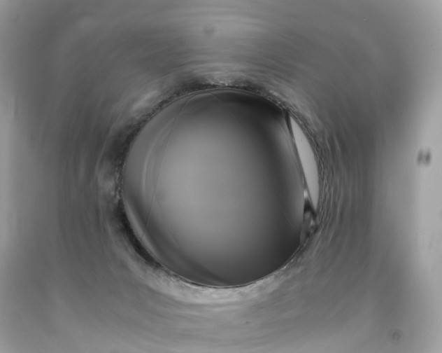 X0000091480031200709061849