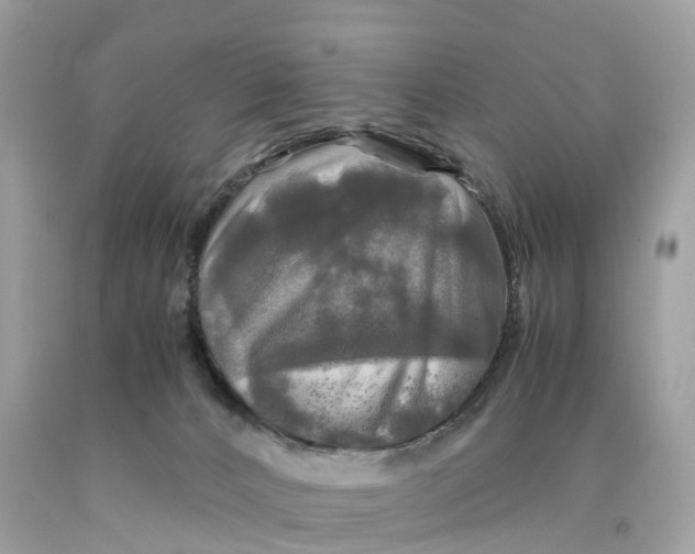 X0000091480032200709061849