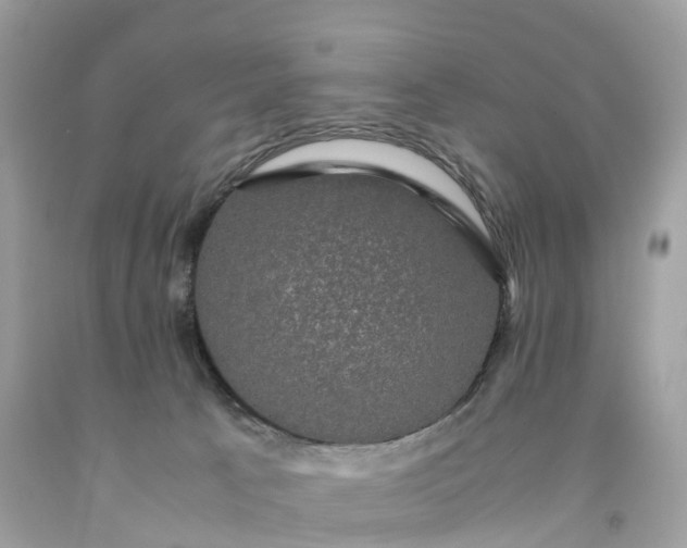 X0000091480033200709061849