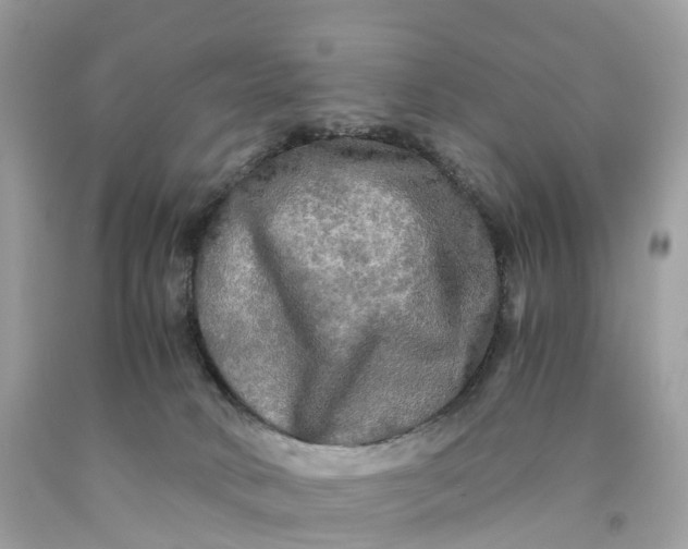 X0000091480034200709061849