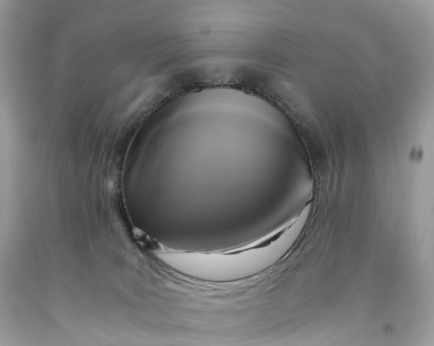 X0000091480035200709061849