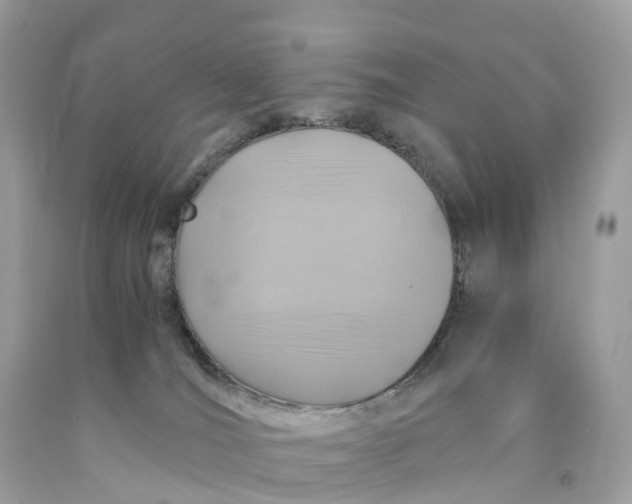 X0000091480036200709061849