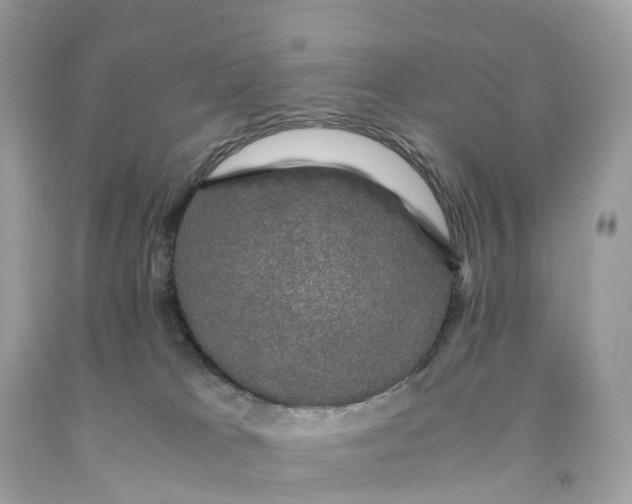 X0000091480037200709061849