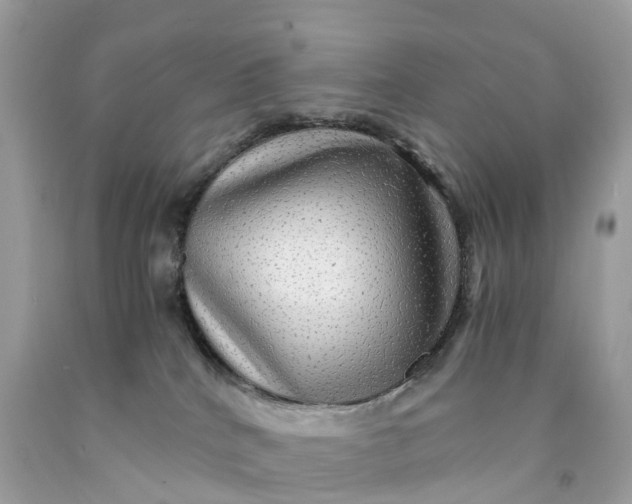 X0000091480040200709061849