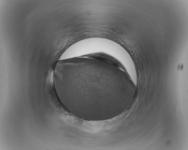 X0000091480041200709061849