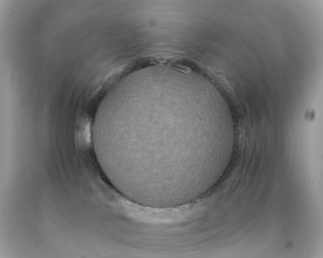 X0000091480042200709061849