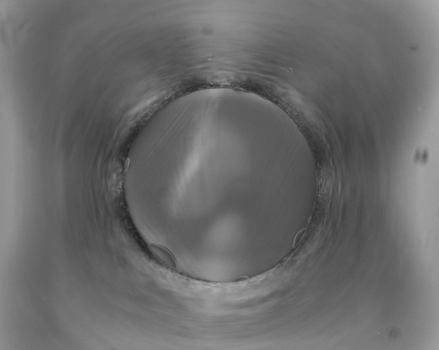 X0000091480043200709061849