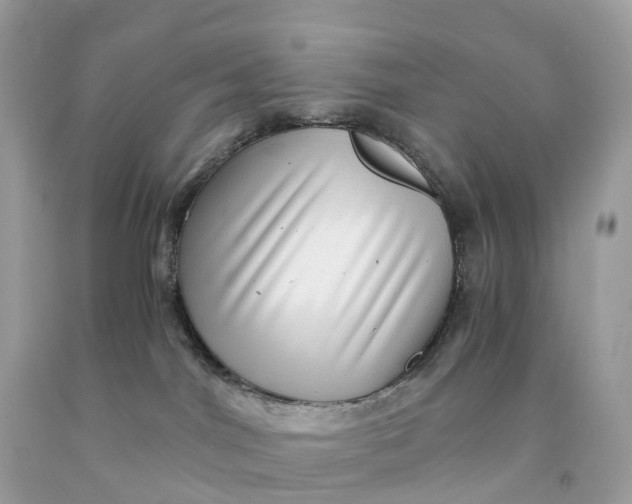 X0000091480044200709061849