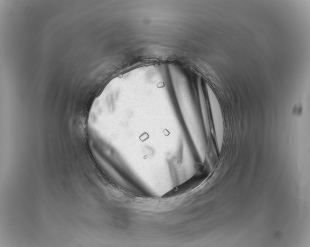 X0000091480045200709061848