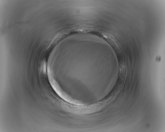 X0000091480046200709061848