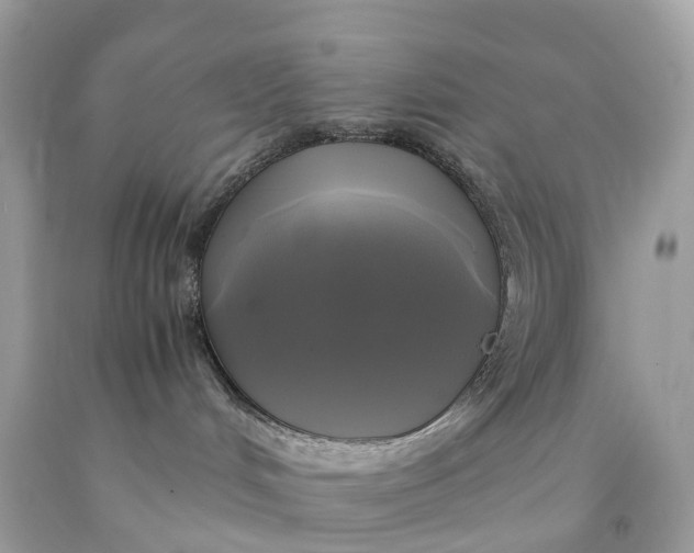 X0000091480048200709061848