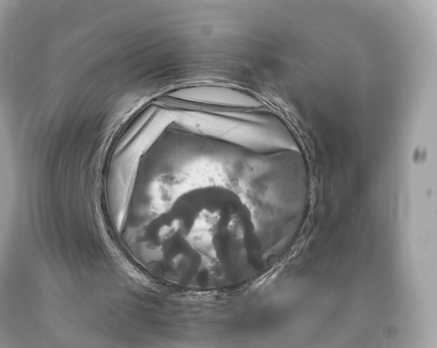 X0000091480049200709061848