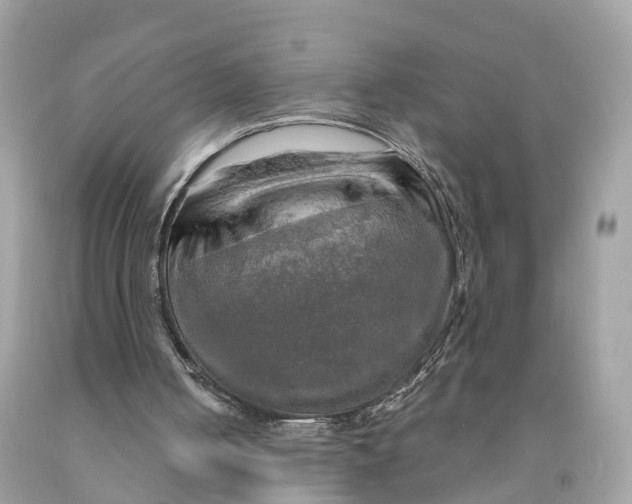 X0000091480050200709061848