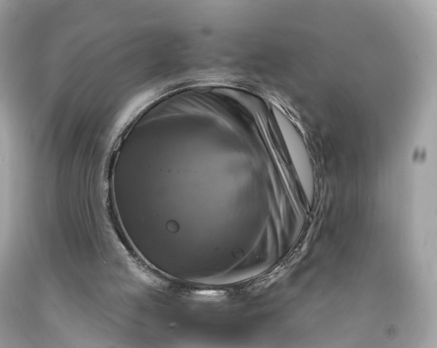 X0000091480053200709061848