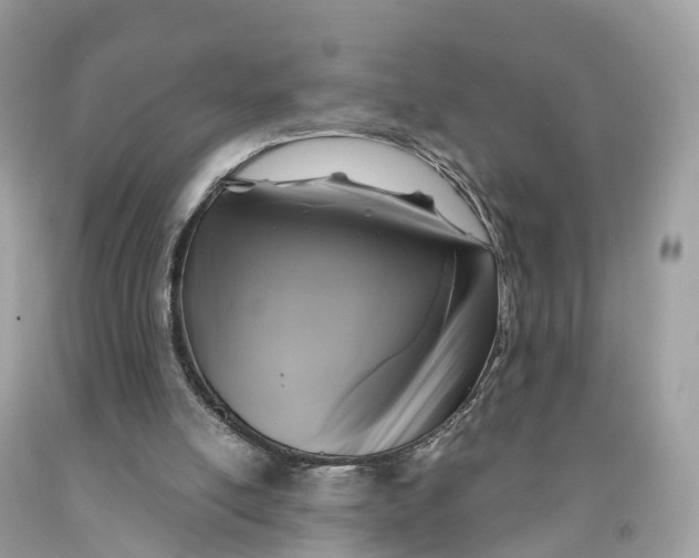 X0000091480054200709061848