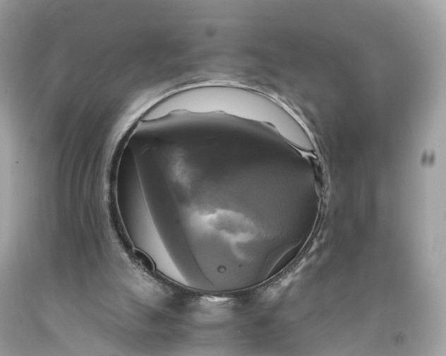 X0000091480055200709061848