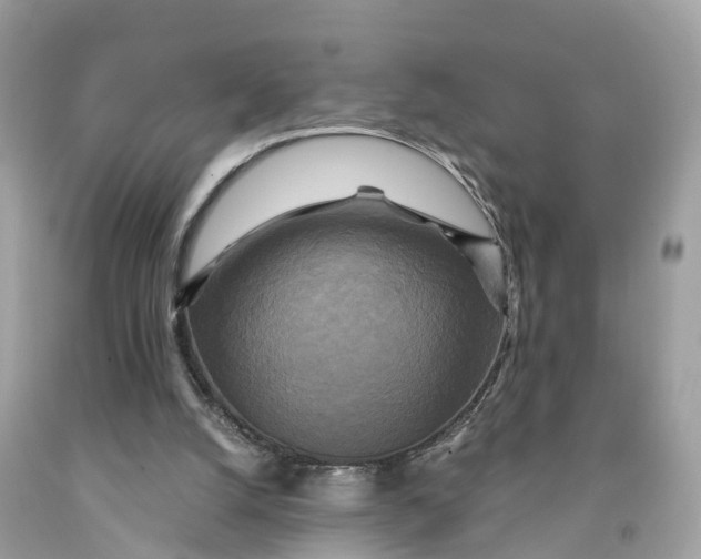 X0000091480056200709061848