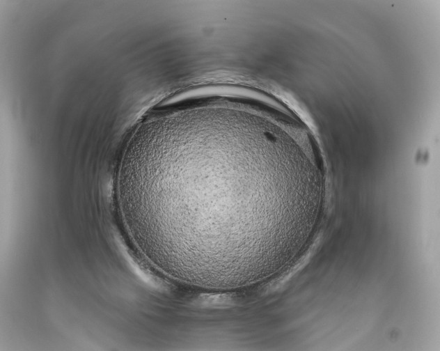 X0000091480057200709061848