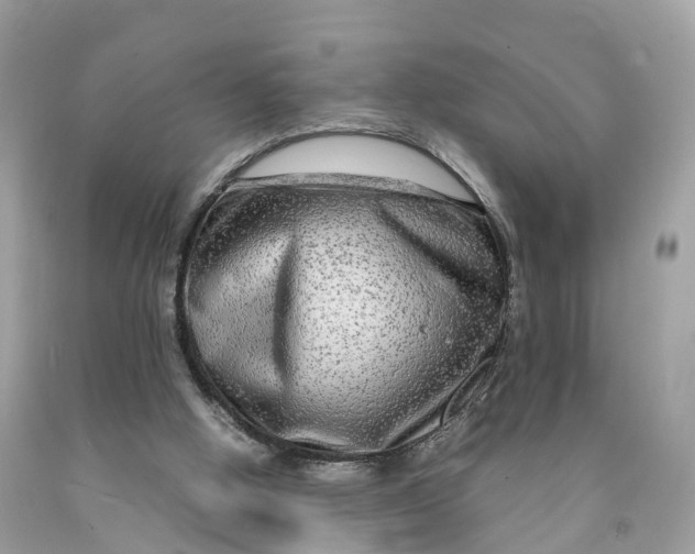 X0000091480058200709061848