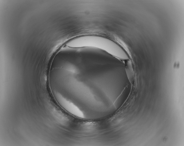 X0000091480059200709061848